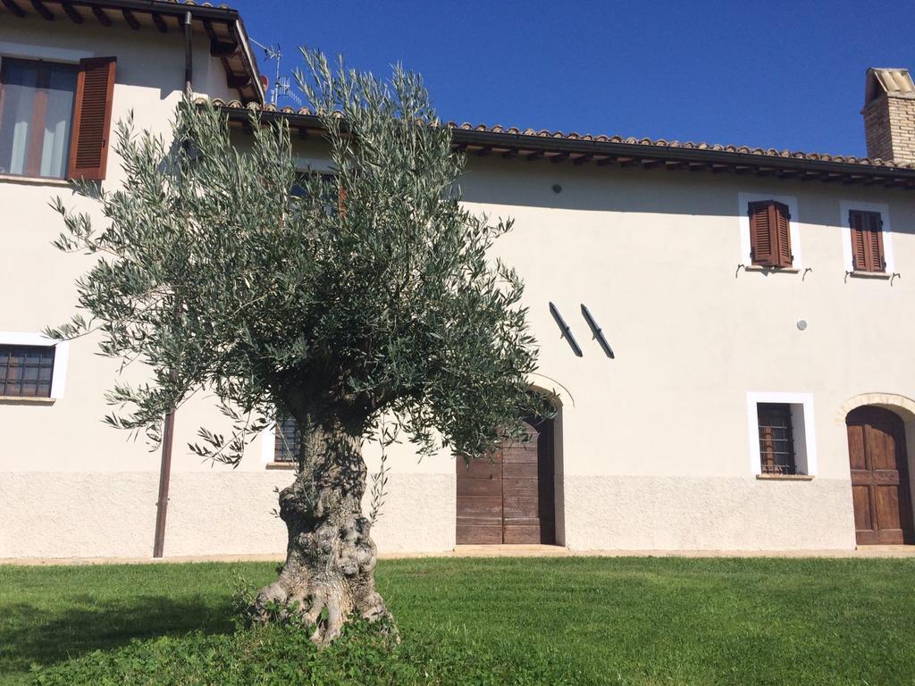 Podere Le Volte Degli Angeli 斯佩洛 外观 照片