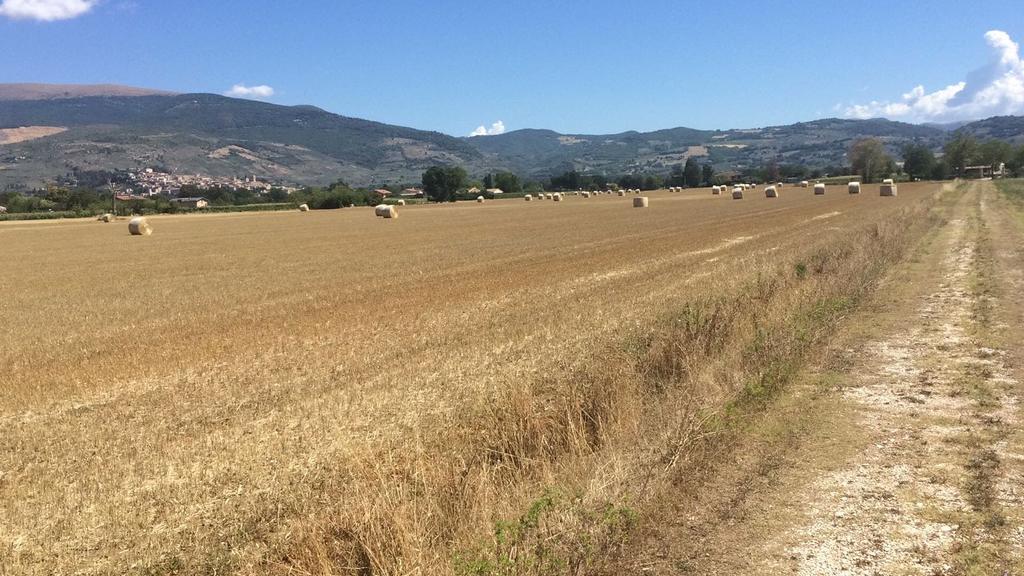 Podere Le Volte Degli Angeli 斯佩洛 外观 照片