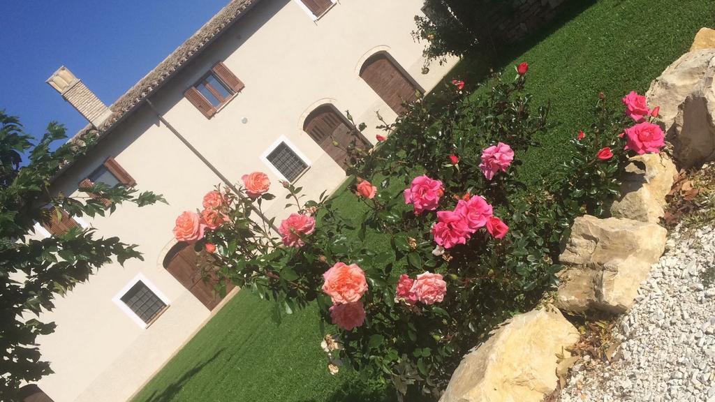 Podere Le Volte Degli Angeli 斯佩洛 外观 照片